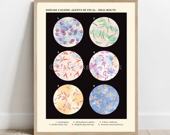Disease Causing Agents by Fecal - Oral Route Collection Vintage style, Science poster Art print