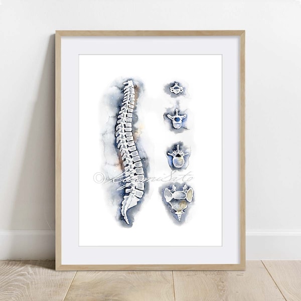 Spine and Vertebrae Art, Orthopedics Art, Science Art Poster, Vertebra Anatomy Art Print, Spine Watercolor Art