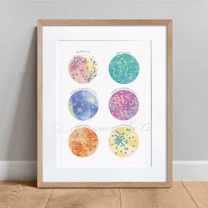 May include: A framed print featuring six colorful, circular watercolor illustrations of bacteria colonies. Each circle displays a unique pattern and color palette, with text labels above each. The frame is a light brown color.