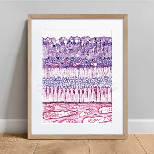 Retina Histology Art, Optometry Art, Rods and Cones Science Art Decor, Eye Anatomy Watercolor Poster, Pathologist Gift, Ophthalmologist Gift