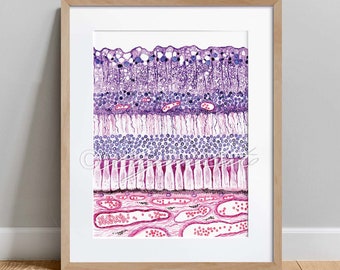 Retina Histology Art, Optometry Art, Rods and Cones Science Art Decor, Eye Anatomy Watercolor Poster, Pathologist Gift, Ophthalmologist Gift