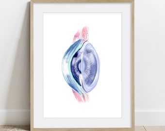 Eye Lens Poster, Optometry Science Art print, Ophthalmology wall decor