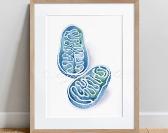 Mitochondria Cross Section Art Print, Science Art Poster, Biology Print, Microbiology watercolor art