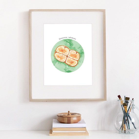 Deinococcus Radiodurans Art Radiotrophic Bacteria Print 