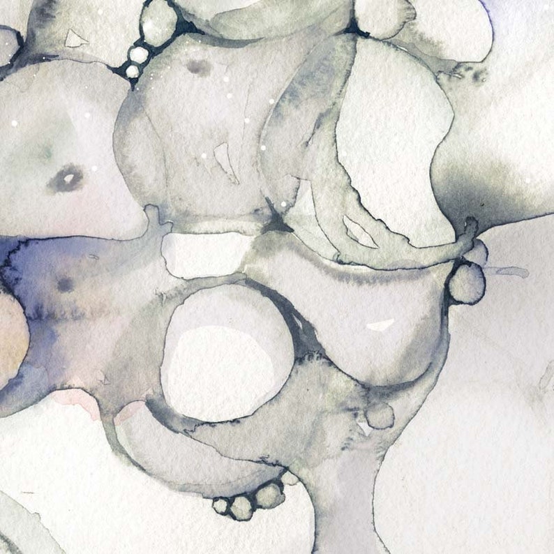 Histology of Fatty Tissue Art Poster Science Art Anatomy Etsy