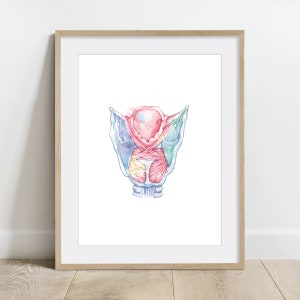Laryngeal Muscles Posterior View, Speech Language Pathology Art, SLP Biology Poster, Science Art print, Anatomy Wall decor