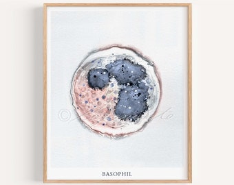 Basophil Innate Immunity Art Print, White Blood Cell Cytology Microbiology Immunology Science Art Biology Defensive Cell Art Poster