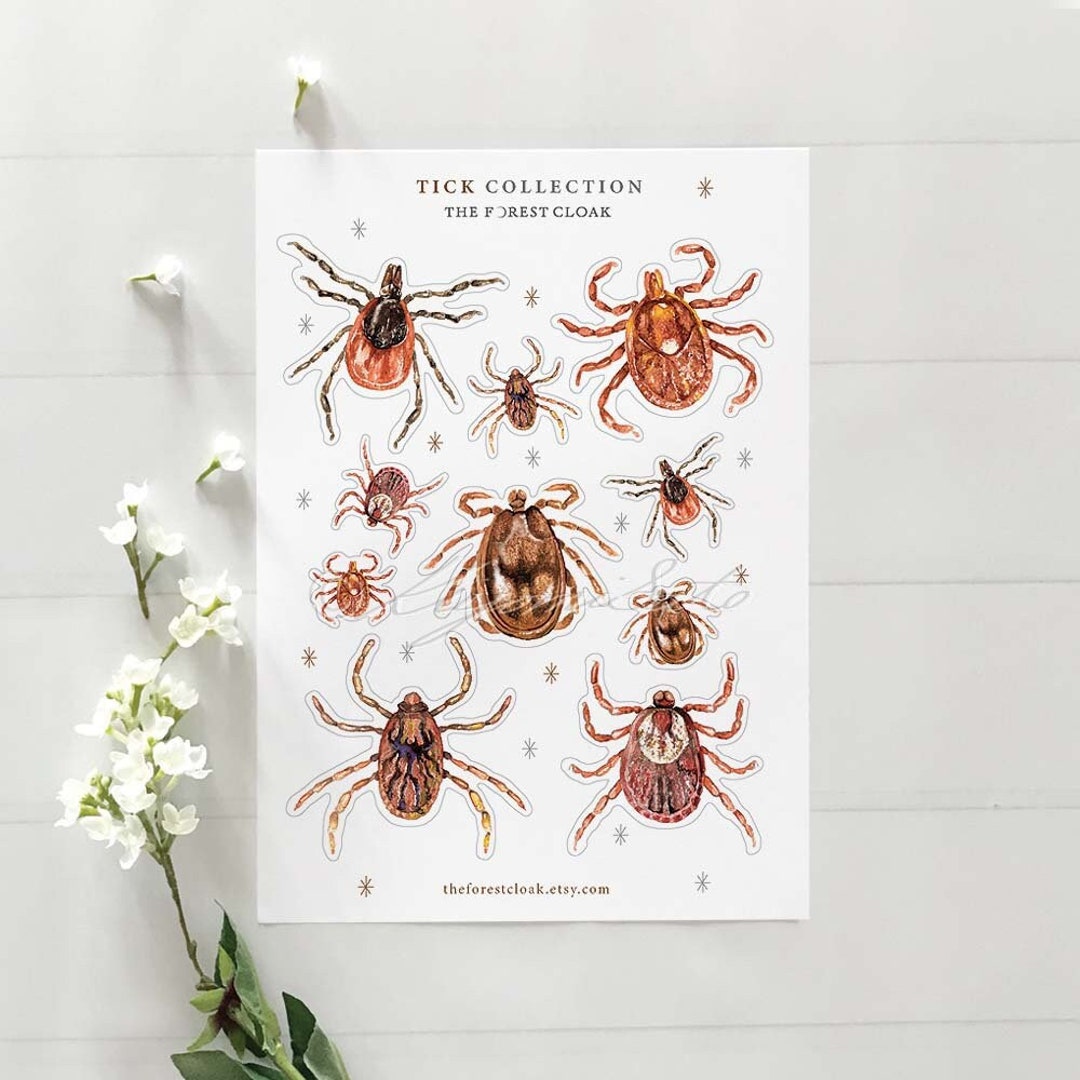Tick Sticker Parasite Sticker Parasitology Sticker Tick - Etsy