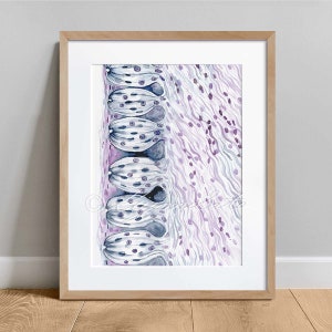 Taste Buds Histology Abstract Art, Oral Cavity Histology Science Art Decor, Anatomy Watercolor Poster, Biology Decor Art Print