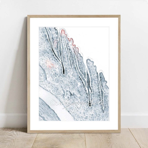 Cat Back Skin Histology Art, Veterinary Art Decor, Feline Anatomy Art Poster, Watercolor Epidermis Histology Poster, Veterinarian wall art