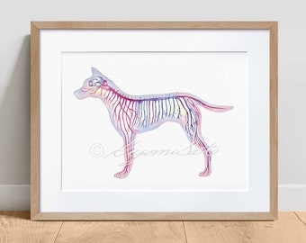 Canine Nervous System, Magenta Horizontal, Science Art Poster, Dog Veterinary decor print