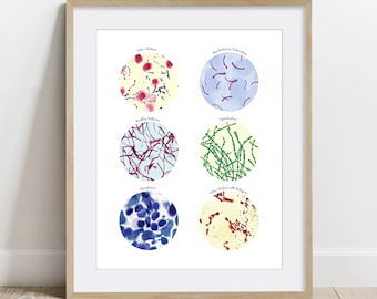 Bacteria Watercolor Science Art Print, Microbiology Poster