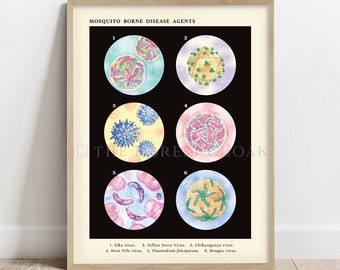 Mosquito Borne Disease Agents Collection Vintage style science Art