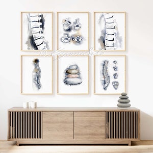 Orthopedics Gallery Art Poster Set of 6, Science Art Poster, Vertebra ...