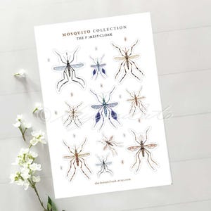 Mosquito sticker, Mosquito collection sticker, Microbiology stationery, Veterinary sticker