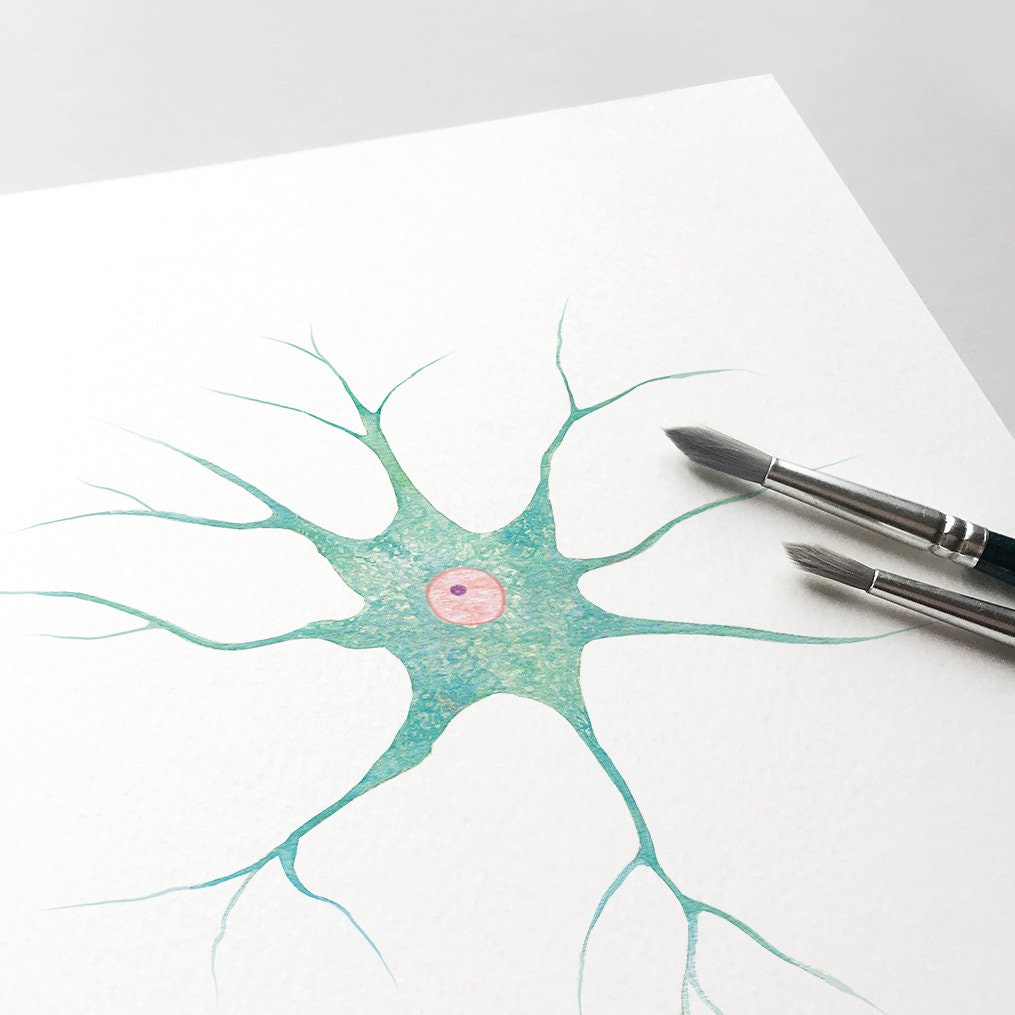 Nerve Cell, Biology Poster, Science Art Print, Neurology Wall Decor - Etsy