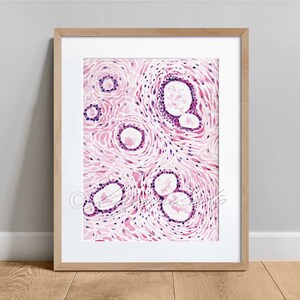Mammary Gland Histology Abstract Art, Science Art Decor, Anatomy Watercolor Poster, Biology Decor Art Print