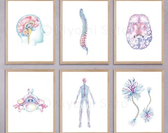 Nervous System 6 print set, Biology Art poster, Science Art Gift, Anatomy Art Bundle prints