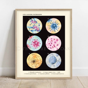 STD Collection Print, Vintage style science Art