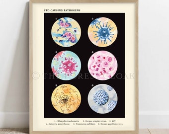 STD Collection Print, Vintage style science Art