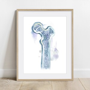 Tubular Bone Science Art Poster, Biology Print, Anatomy art