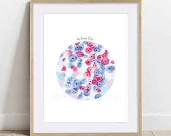 May include: A watercolor illustration of a Pap smear, showing a circle of cells in shades of pink and blue. The text "Pap Smear Cells" is at the top of the image.