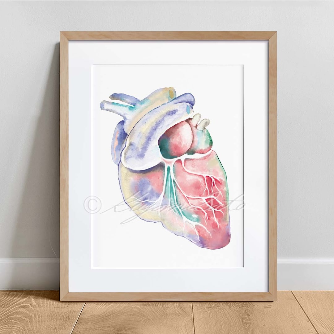Canine Heart Anatomy Art Print Veterinary Decor Dog Biology Etsy
