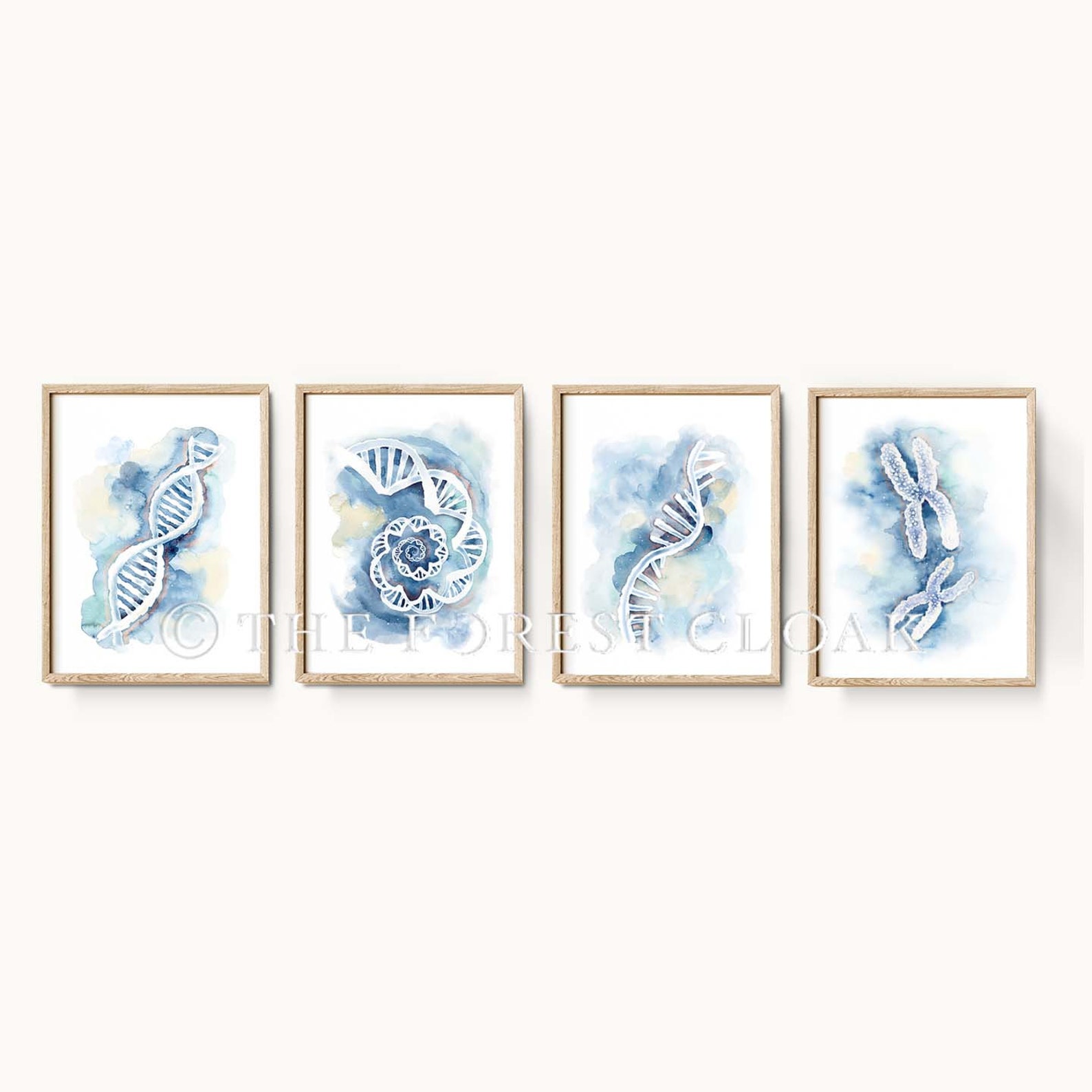Set of 4 Genetics Posters DNA RNA DNA Spiral Chromosomes - Etsy