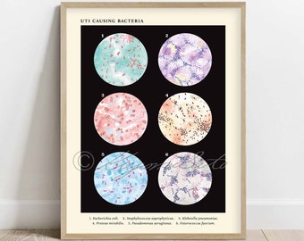 UTI Causing Bacteria Collection, Vintage Style, Microbiology Poster, Science Art print