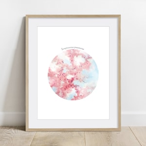 May include: A watercolor illustration of Streptococcus pneumoniae bacteria. The bacteria are depicted as small purple dots and chains, surrounded by a pink and blue watercolor background. The text "Streptococcus pneumoniae" is written in black at the top of the image.