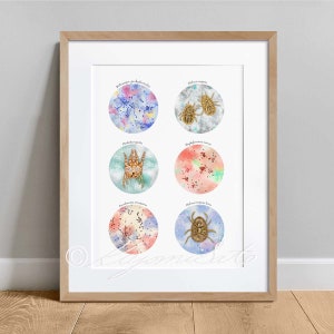 Canine Ear Infection Agents Collection, Dog Veterinary Art Print, Bacteria Science Poster