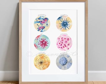 May include: A watercolor illustration of six different viruses, each in a circle with its name written above it. The viruses are: Ebola virus, Herpes simplex virus, HIV, Human papillomavirus, Cytomegalovirus, and Rotavirus.