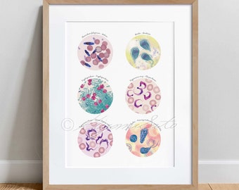 May include: A printable poster with six illustrated circles showing different types of parasites. The circles are labeled with the parasite's name, including Giardia lamblia, Babesia canis, Cryptosporidium parvum, Trypanosoma cruzi, Toxoplasma gondii, and Pneumocystis jirovecii.
