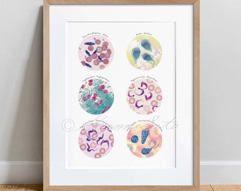 Parasitic Disease Collection, Science Art Poster, microbiology print, Science Wall decor Art