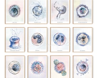 Immune System 12 posters set, Immunology Innate Immunity Adaptive Immunity Art Watercolor Science Art, White Blood Cell Biology Art Poster