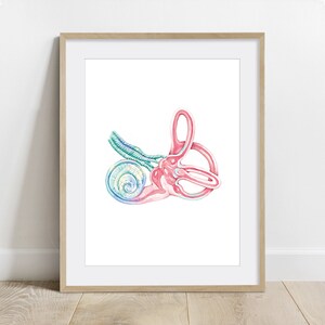 Ear Cochlea Science Art, Inner Ear Print, Biology poster, Otolaryngologist wall decor