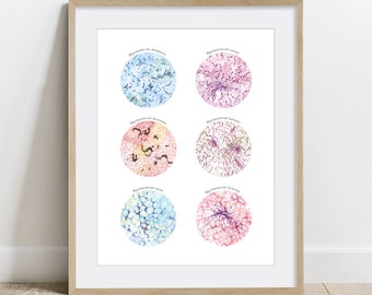 Nontuberculous Mycobacteria Collection Art Print, NTM Science Poster, Microbiology Wall decor