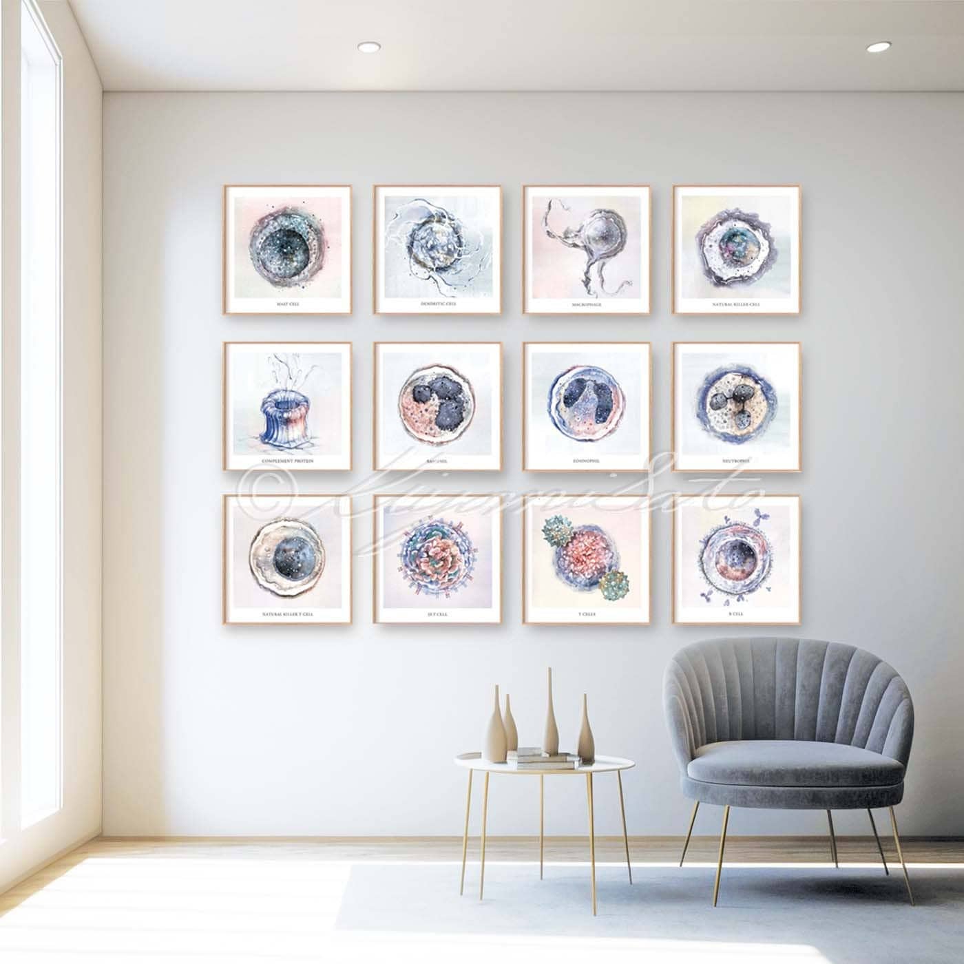 Immunity Poster Project Immune System 12 Posters Set Square Posters, Immunology Innate Immunity ...
