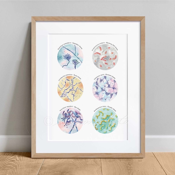 Cheese Fermenting Microbiome Collection Poster, Bacteria Fungi Science Art, Microbiology print, Science Kitchen decor