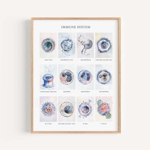 Immune System Art Print, Immunology Poster White Blood Cell Microbiology Defensive Cell Science Biology Innate Adaptive Immunity Art Poster
