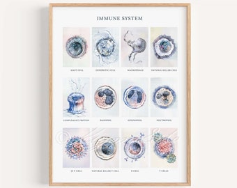 Immune System Art Print, Immunology Poster White Blood Cell Microbiology Defensive Cell Science Biology Innate Adaptive Immunity Art Poster