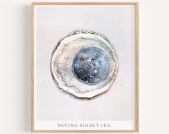 Natural Killer T Cell, Innate Immunity Adaptive Immunity Art Print, White Blood  Cell Microbiology Immunology Defensive Cell Science Poster