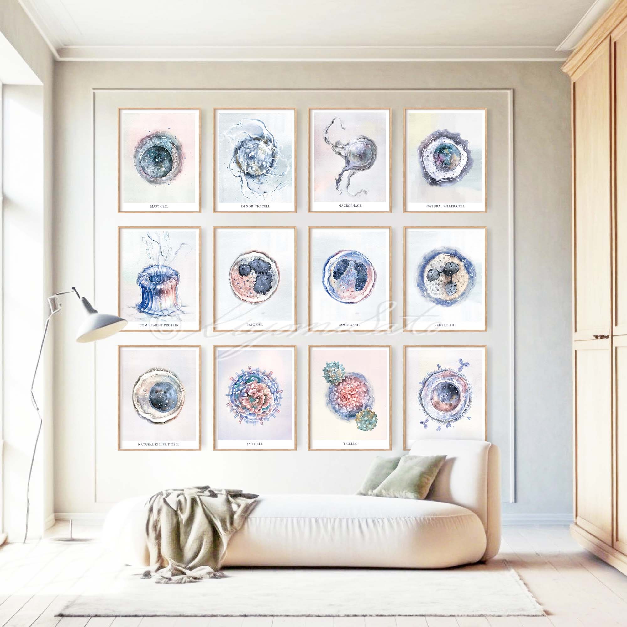Immunity Poster Project Immune System 12 Posters Set, Immunology Innate Immunity Adaptive ...