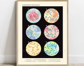 Foodborne Pathogens Collection Poster, Vintage style science Art, Microbiology Bacteria print