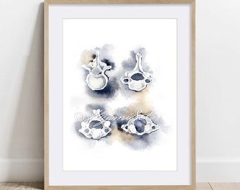 Vertebrae Collection Art, Orthopedics Art, Science Art Poster, Vertebra Anatomy Art Print, Spine Watercolor Art