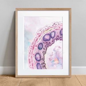 Appendix Histology Art, Watercolor Histology Art, Gastrointestinal Histology Art Print, Anatomy Science Art Decor