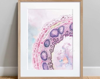 May include: A watercolor painting of a cross-section of a human trachea, showing the layers of tissue and the cilia. The painting is done in shades of pink, purple, and blue.