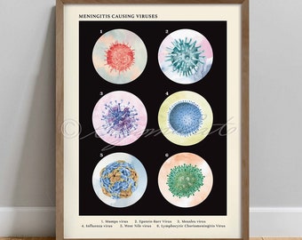 Meningitis Causing Virus Collection Vintage Style Science Art, Virology Art, Science Poster, Virus Illustration Print, Lab Tech Gift