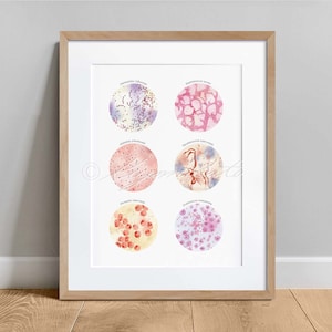 May include: A watercolor illustration of six different types of bacteria, including Staphylococcus aureus, Mycobacterium tuberculosis, and Streptococcus pneumoniae. Each bacteria is shown in a circle with its name written above it.