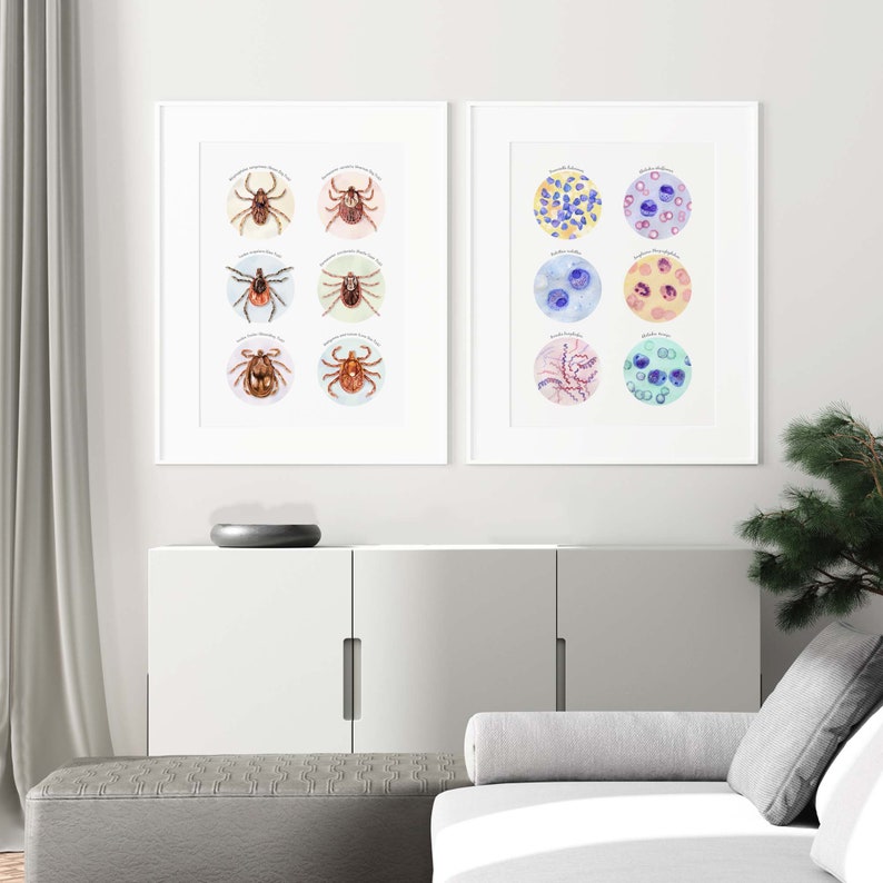 Tick Collection Art and Tick Borne Pathogens Collection Poster Set of 2, Parasitology Art, Veterinary Art, Vet Tech Gift, Parasite Art image 10